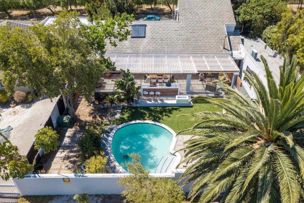 Cottage Sauvignon, Plumstead