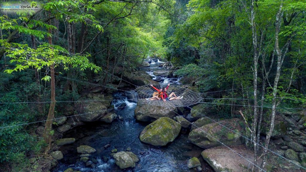 アクティビティ