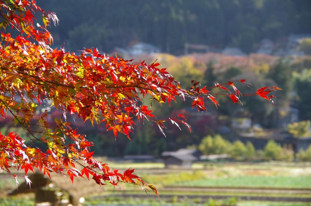 Surrounding environment