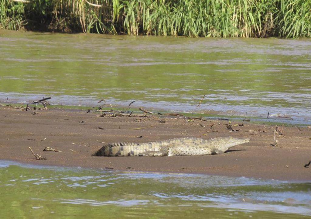 Surrounding environment