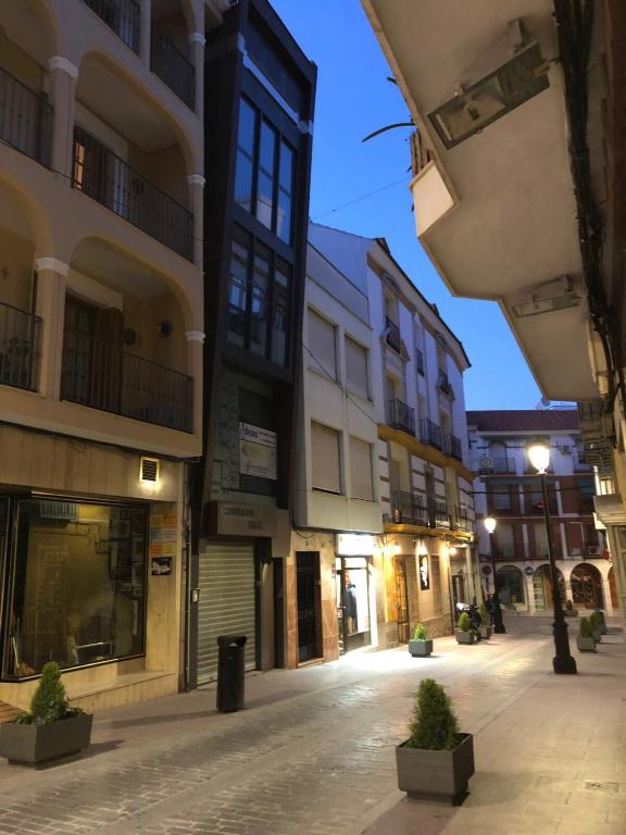 Loft Alcaide 9