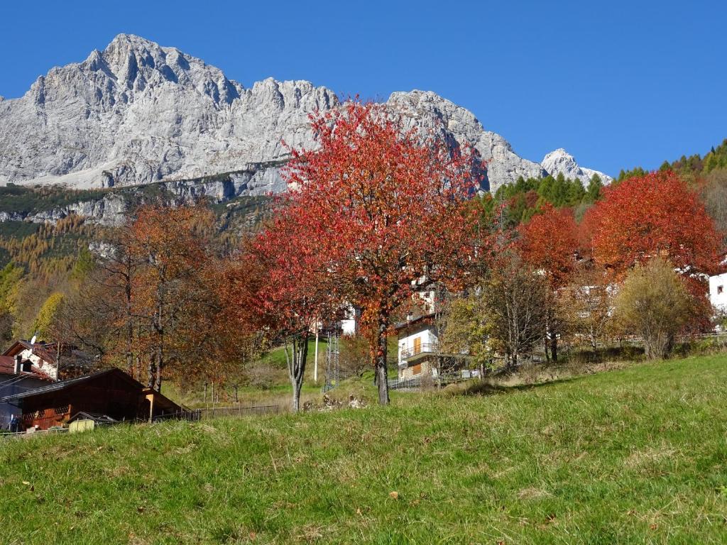 Hotel Garnì posta - 5