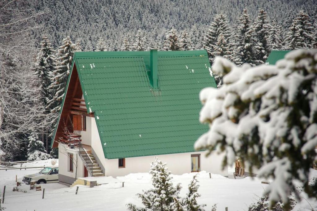 Rooms Apartment Durmitor photo