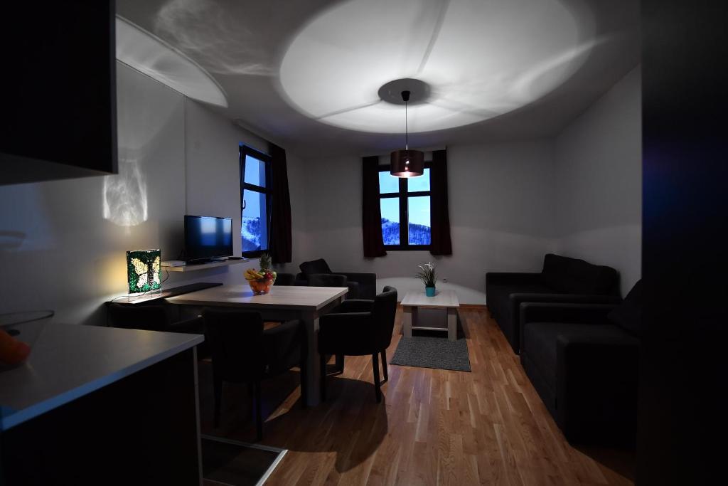 Dvori Apartments 8C, Kopaonik