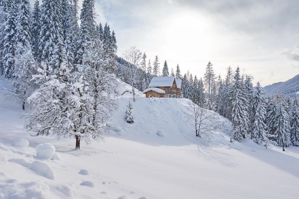 Chalets Almidylle
