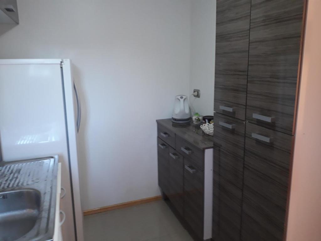 Los Arrayanes de Harnecker - 5