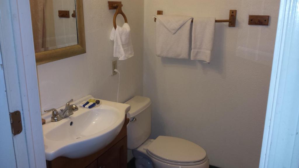 Shiny Motel photo