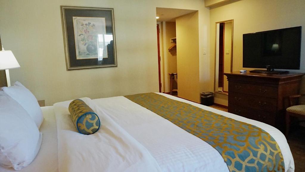Best Western Queens Court Hotel photo