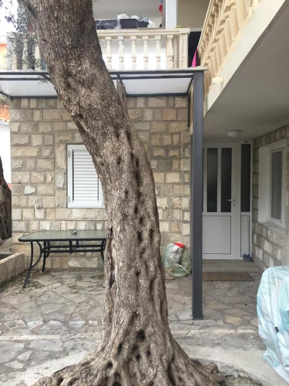 Guest House Ratko photo