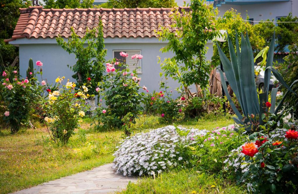 Surrounding environment
