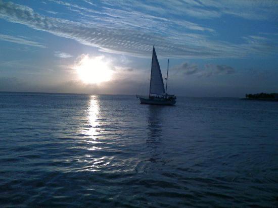 Coconut Beach Resort photo