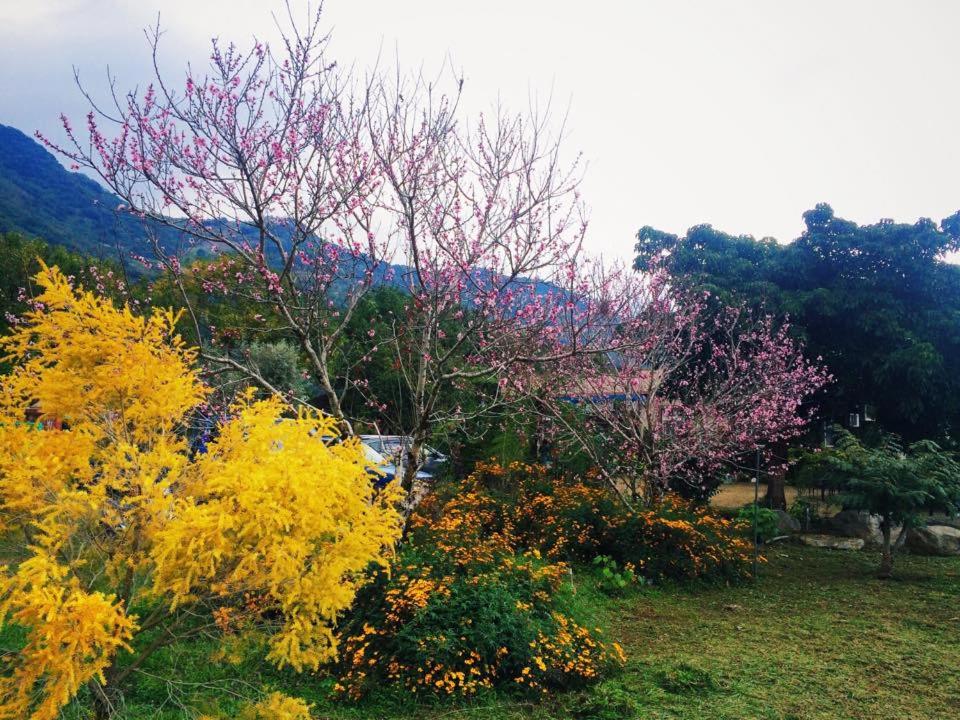 Jin Ping Homestay photo