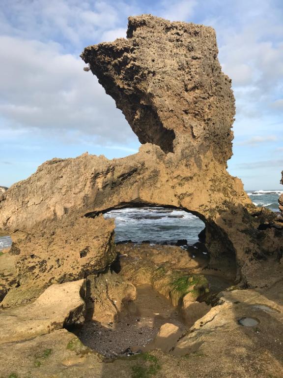 周辺観光スポット