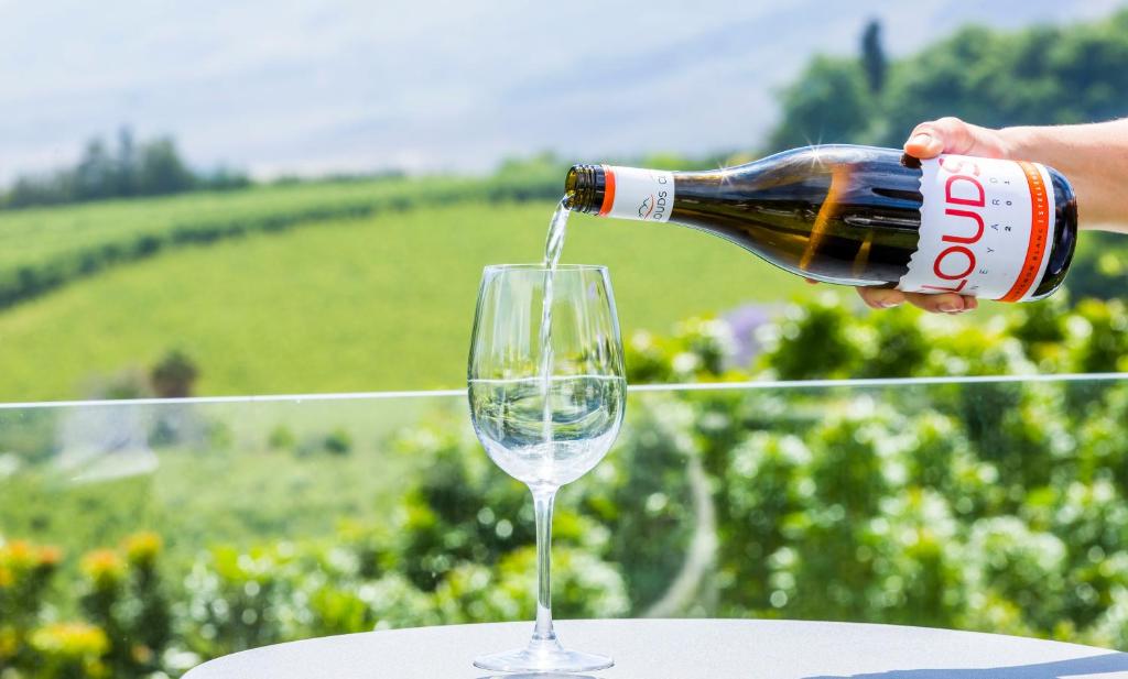 Programlehetőségek