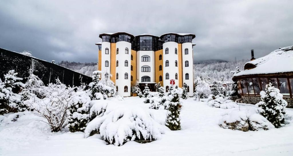 Castelul de Vis photo