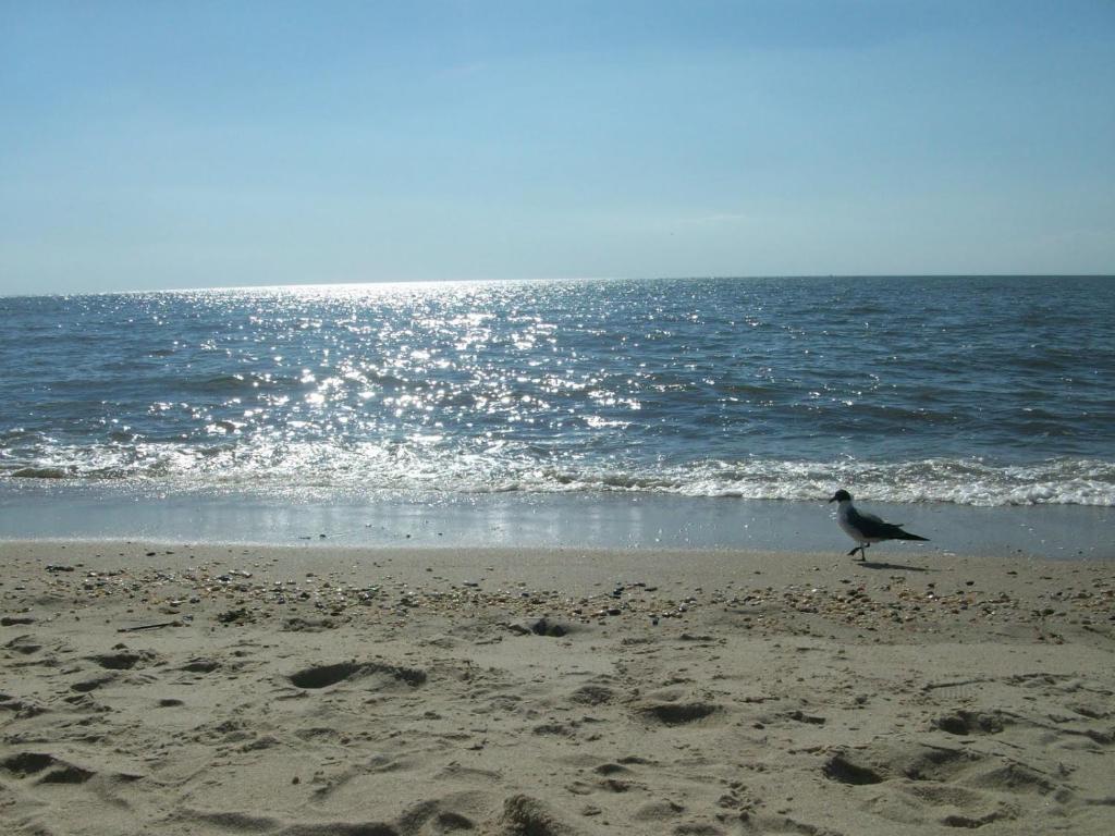 Boardwalk Beach Inn photo