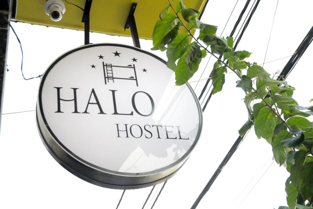 halo 310