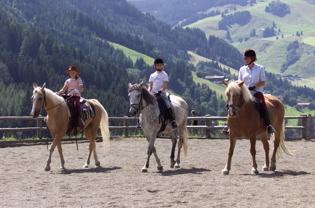 Ferienanlage Altachhof photo