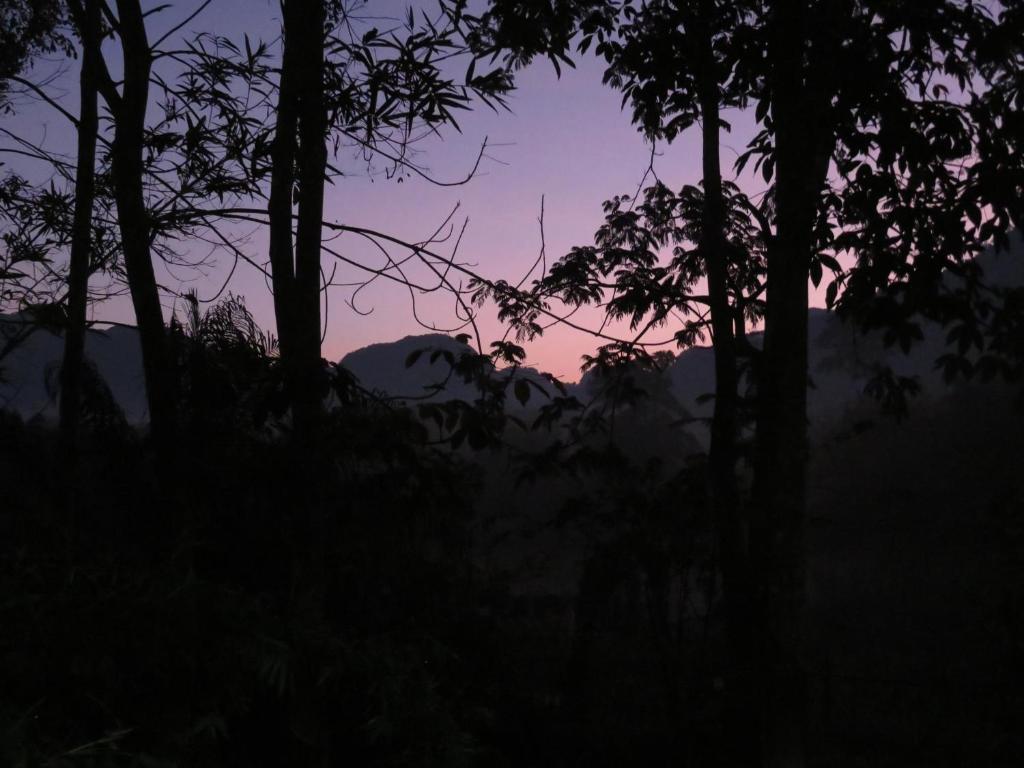 Surrounding environment