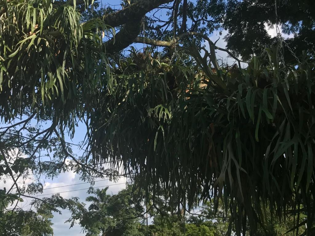 Surrounding environment