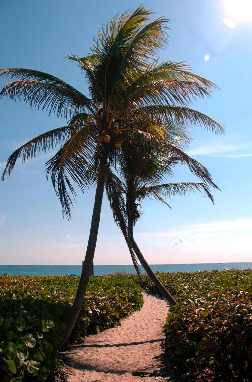 The Dover House Resort photo