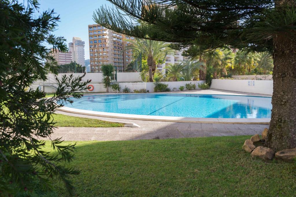 Apartamento con vistas al mar y piscina en La Niña - 4