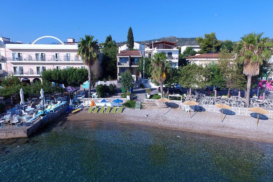 Plaz Hotel photo