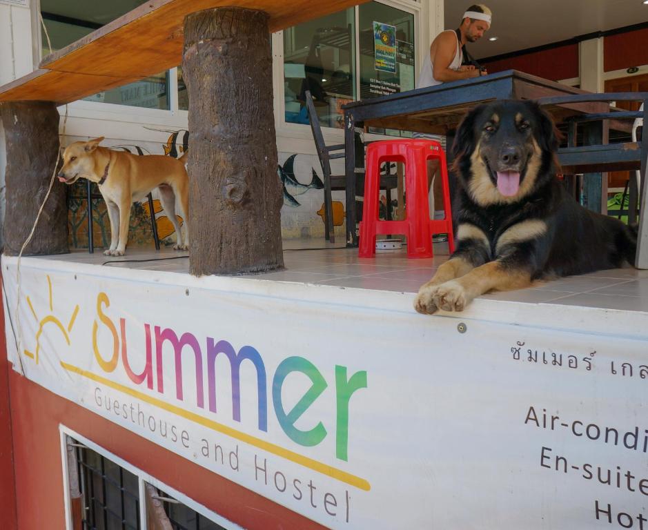 Summer Guesthouse & Hostel photo