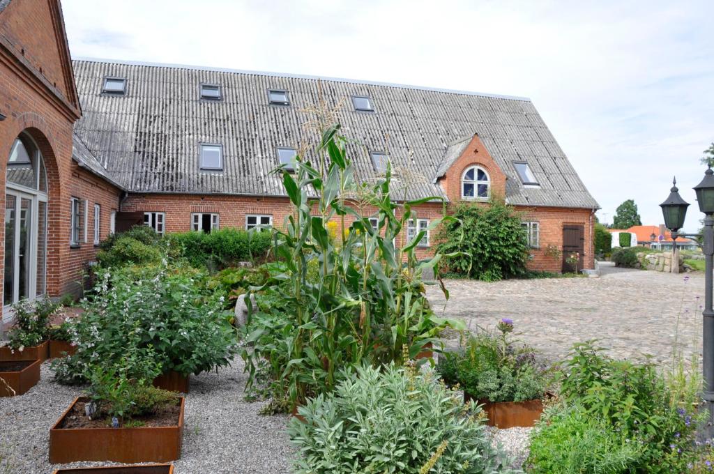 Garden, Lundsgaard Bed & Breakfast in Faaborg