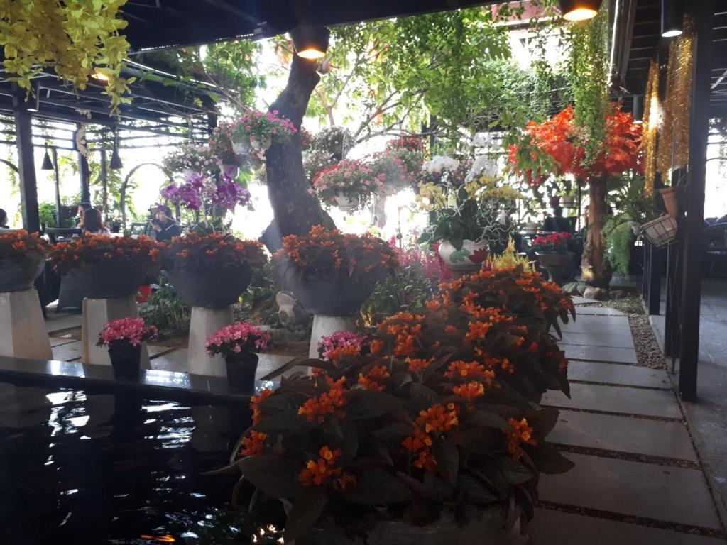 Hiep Yen Hotel
