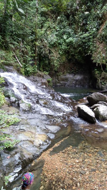 Surrounding environment