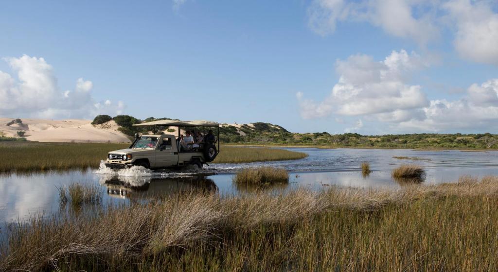 Programlehetőségek