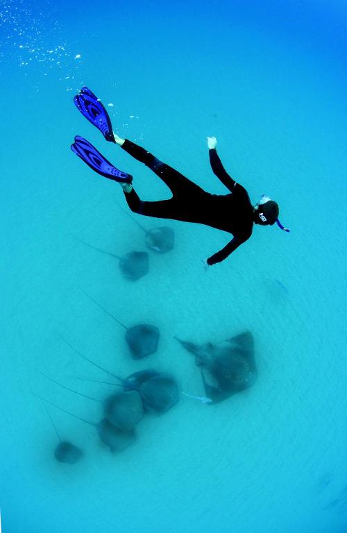 Programlehetőségek