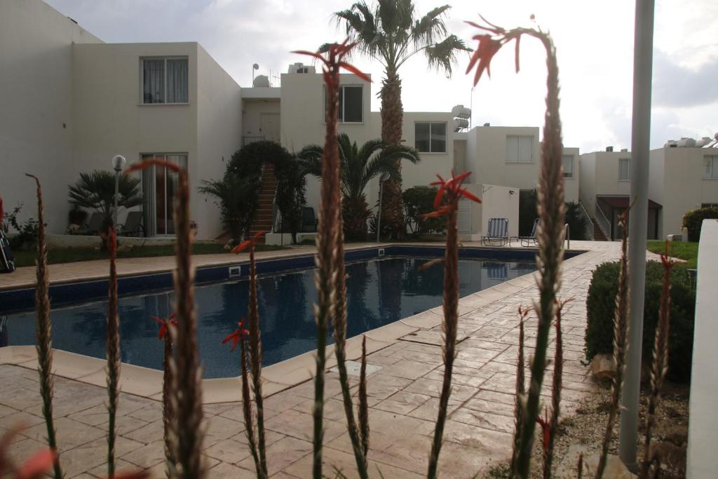 Evros Peyia & Coral Bay Seaview Apartment, Pegeia