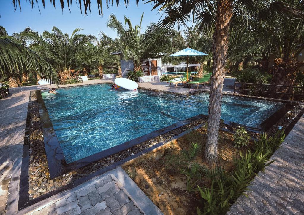 スイミングプール