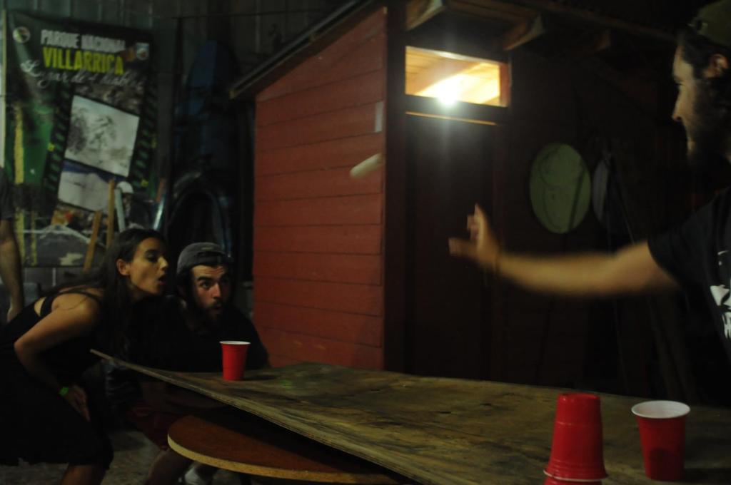 Gecko Hostel photo