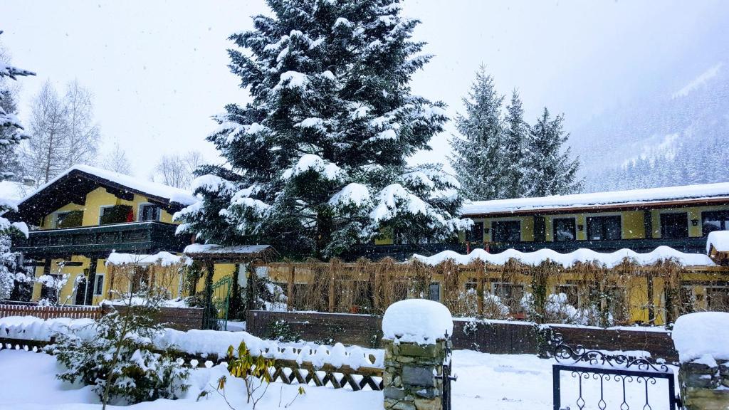 Alpen-Appartementhof - 2