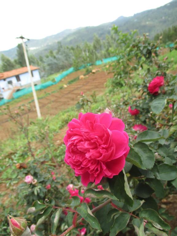 Relaxing 2 B/R Estate House, Deenaty, Tamil Nadu photo
