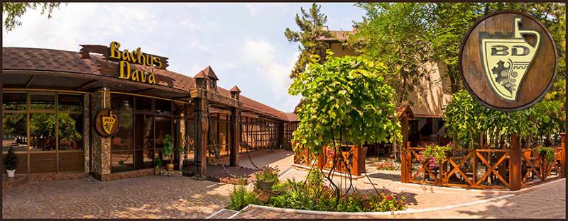 Hotel BACHUS — Hotel in Chisinau