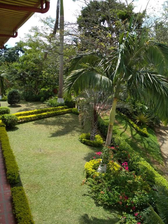 Surrounding environment