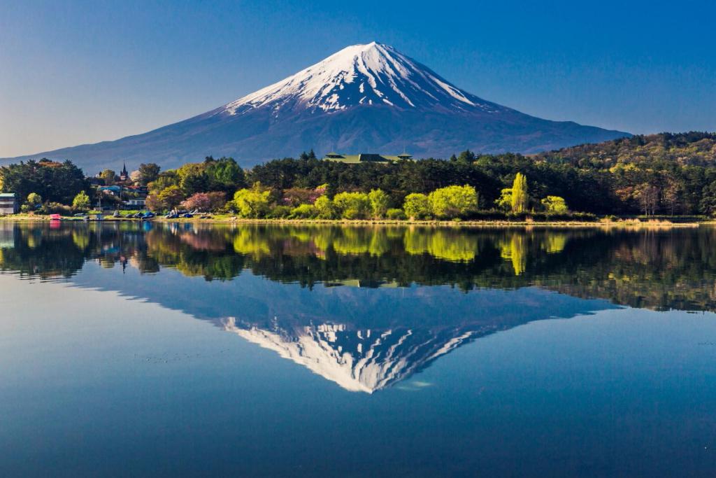 Villas Fuji photo
