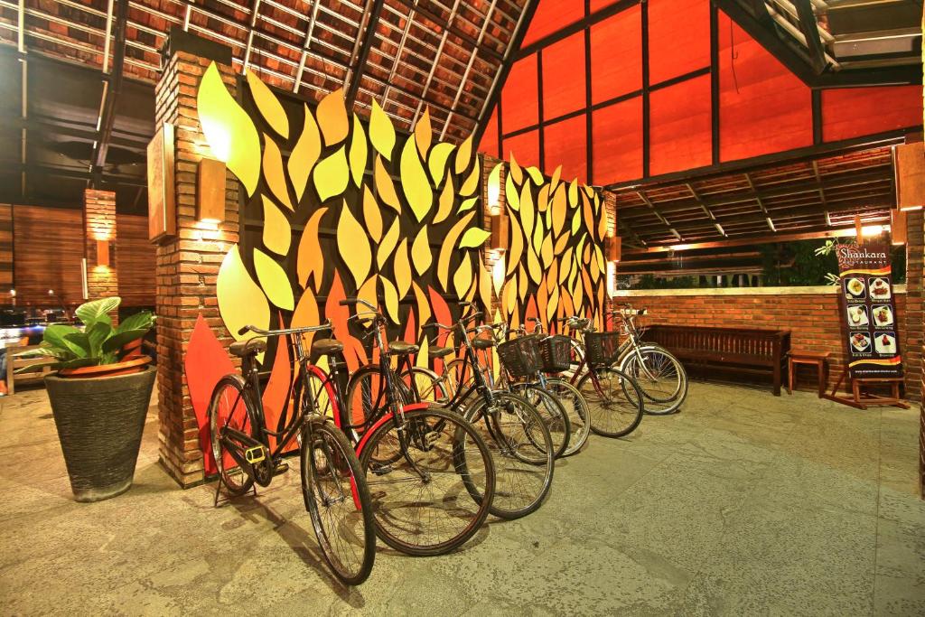 Sports and activities