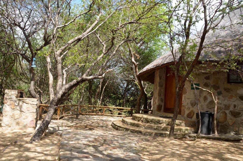 Moholoholo Mountain View photo