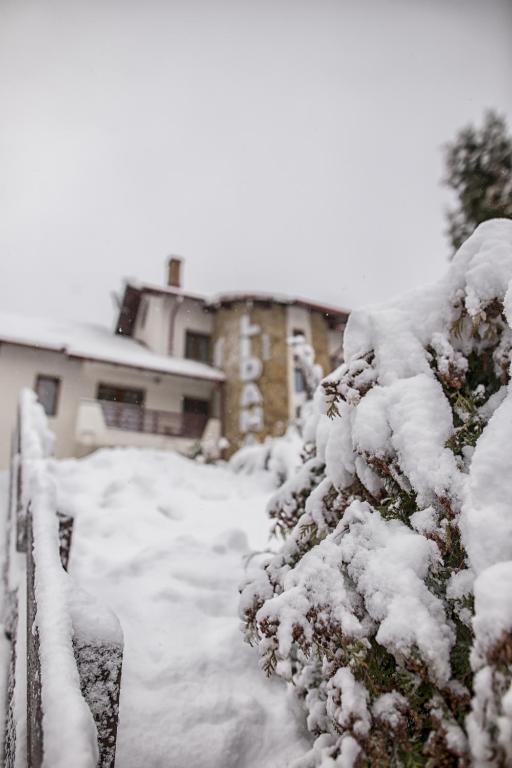 Pension Lidana Bucovina photo