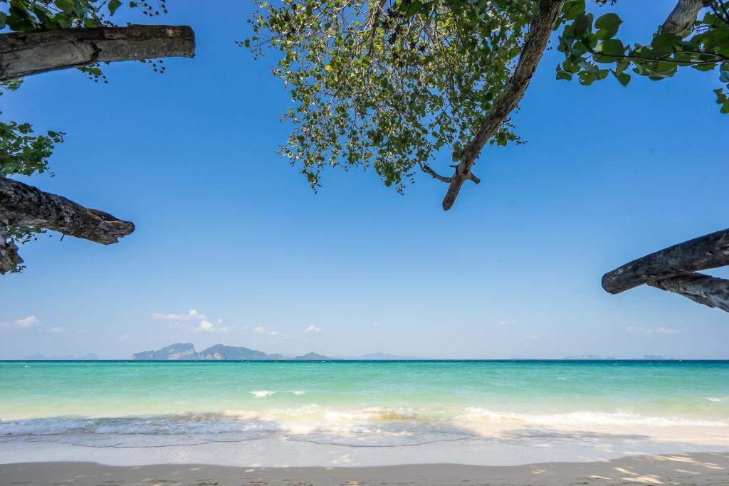 plaža
