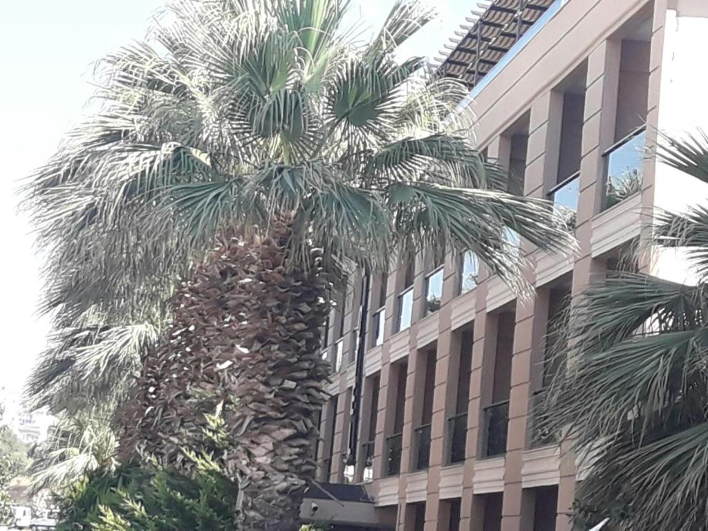 Nazar Hotel — Hotel building in Didim, Aydin
