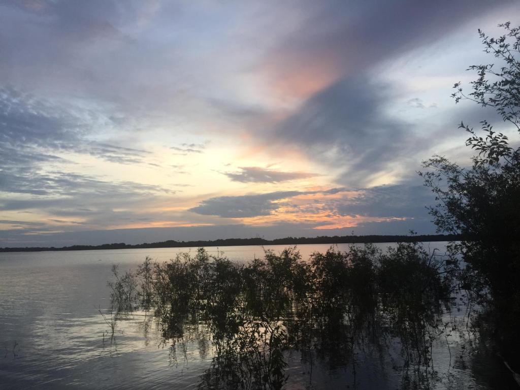 Alta Vista Amazon Lodge photo