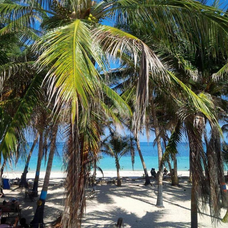 Zippy´s Sea View Apartments — Hotel in San Andres Island