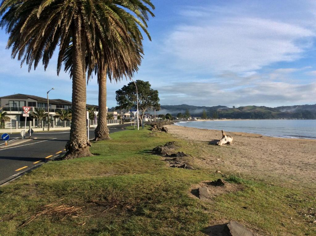 Facilities, Albert Mews B and B in Whitianga