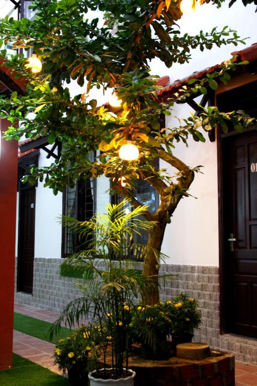 Phuc An Homestay photo